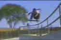 encore un gros ollie